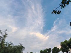 -堤角公园