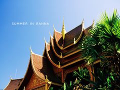 景点-西双版纳总佛寺