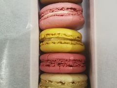 -Pierre Marcolini(德基广场店)