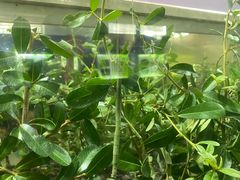 -上海昆虫博物馆