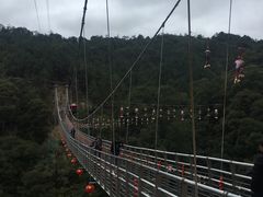 -九龙江国家森林公园