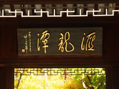 -汇龙潭