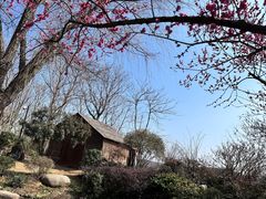 -茅山东方盐湖城景区