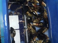 -冯姐生蚝(迎宾广场店)