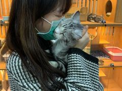 -叮叮猫咪生活馆
