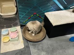 -零纪元VR体验馆·桌游(黄浦店)