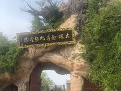 -大槐树寻根祭祖园