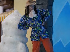 -世界之窗阿尔卑斯冰雪世界