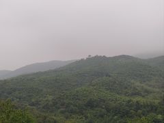 -冶父山国家森林公园