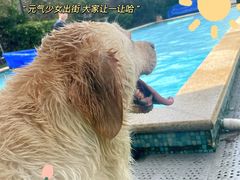 -汪说喵讲宠物乐园宠物酒店(红星美凯龙店)