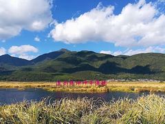-腾冲北海湿地