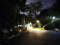 -炮台山公园