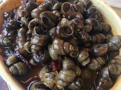 香辣田螺-猫姑娘大盘鸡(商城路店)