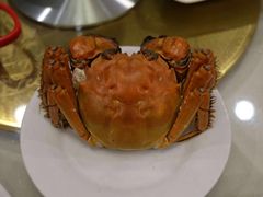 -王宝和酒家(黄浦店)