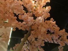 -卢大鲜鱼头捞饭(美利广场店)