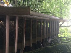 碧峰峡-碧峰峡风景区