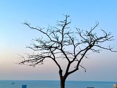 -银沙滩浴场