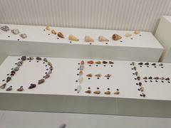 -青岛贝壳博物馆