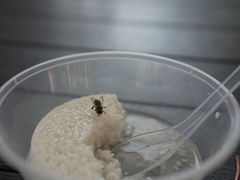 -润和祥小砵头甜酒酿