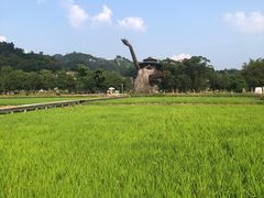 -红山村