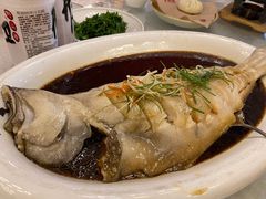 -金狮麟·新豫菜(金码大厦店)