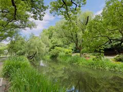 -上海共青森林公园