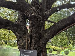 -晓港公园