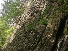 -王顺山国家森林公园