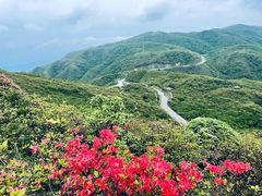 -大围山国家森林公园