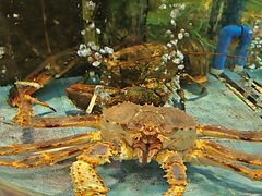 -乐在集市海鲜大排档(平潭店)