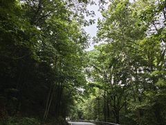 -杭州灵山景区
