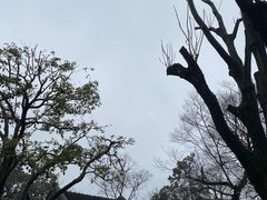 -拙政园