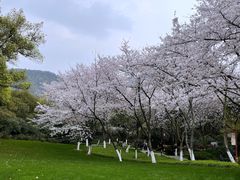 -中国茶叶博物馆(双峰馆区)