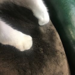 -HMC美容按摩SPA馆