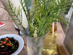 -探窝·竹笙椰子鸡(杨箕店)