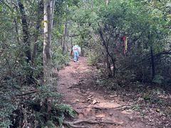 -青龙山国家森林公园