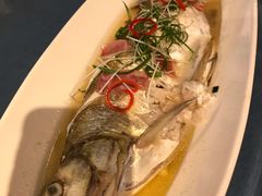 -闻莺馆(柳浪闻莺店)