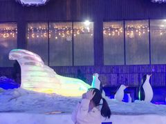 -世界之窗阿尔卑斯冰雪世界