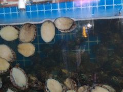 -蟹谢蒸鲜自助餐厅