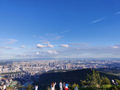 -长虫山生态公园风景林