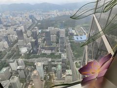 -平安金融中心云际观光层