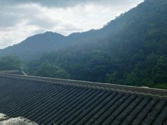 -雁南飞茶田景区