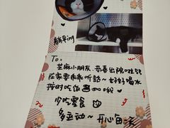 -艾贝尔宠物医院·24H转诊中心·肿瘤猫专科(江宁双龙店)