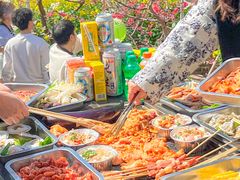 -桃源山庄·水蜜桃采摘·柴火鸡·烧烤团建(龙泉山店)
