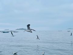 -银沙滩浴场