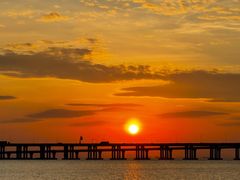 -宝安西湾红树林湿地公园