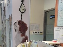 -瑞派申生动物医院·24H夜诊·国际动物医疗中心·骨外科(吴中路店)