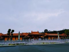 -三水森林公园