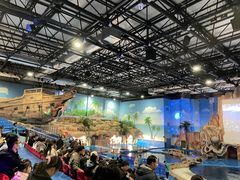 -华夏文旅海洋公园