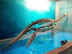 -自贡恐龙博物馆